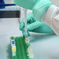 About Us - BioTools